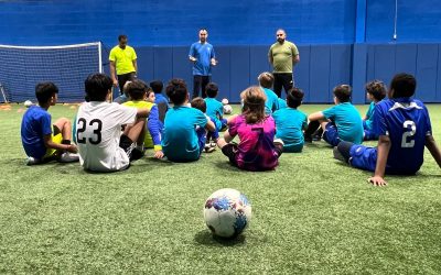 Soccer Field Turf Management and Maintenance for Facility Operators